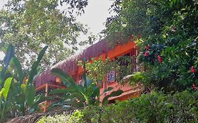 Saudade da Bahia